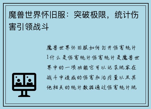 魔兽世界怀旧服：突破极限，统计伤害引领战斗