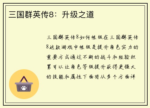 三国群英传8：升级之道